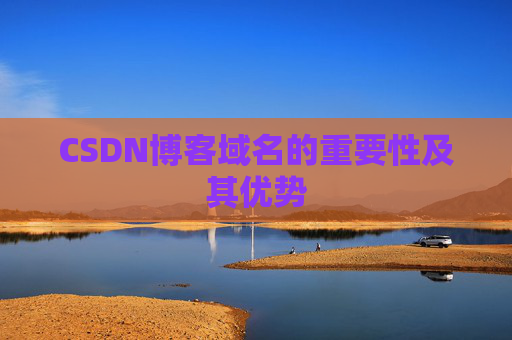 CSDN博客域名的重要性及其优势